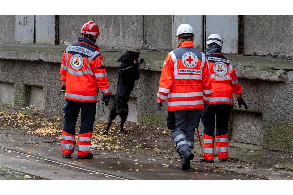 Mehrere Rettungshundestaffeln suchen in Güstrow nach einem Jungen.
