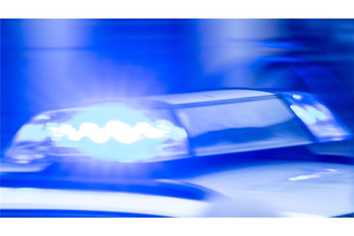 Mehrere Streifenwagen und ein Polizeihund brachten die Situation den Angaben der Polizei nach unter Kontrolle. (Symbolbild)