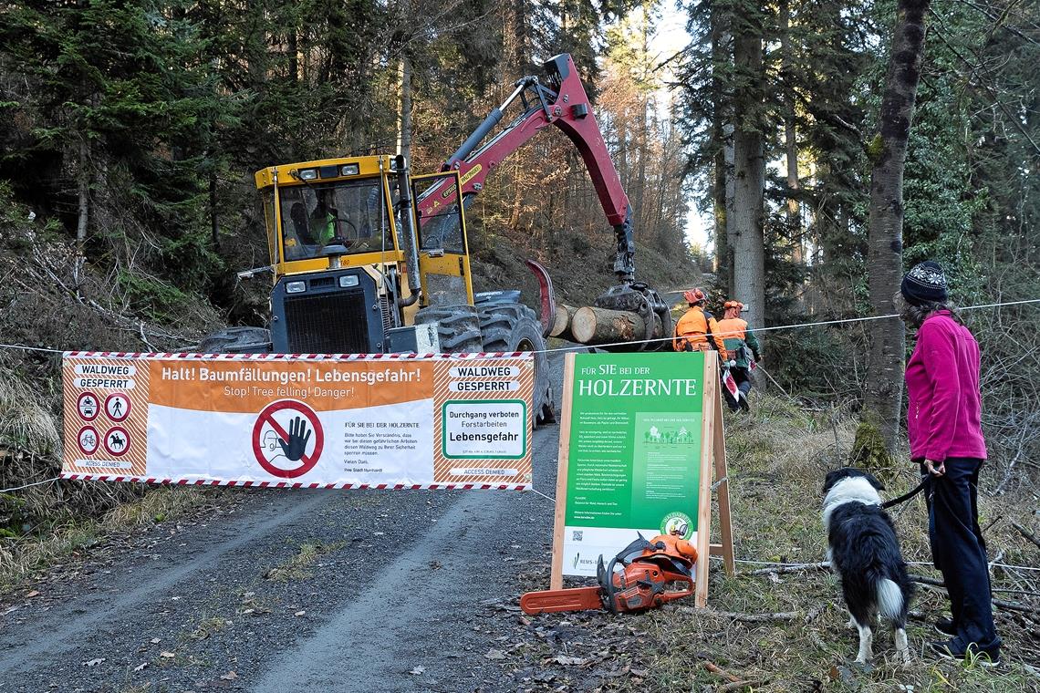 Trockenstress hinterlässt Spuren