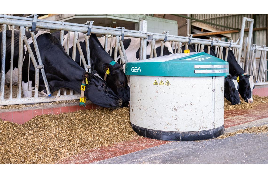 Melkroboter von Gea auf einem Bauernhof in Ahaus. (Archivbild)