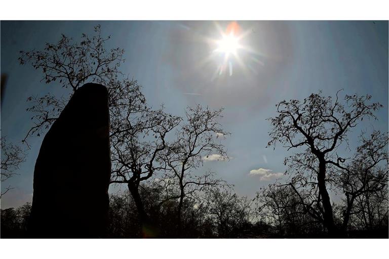 Menhir auf dem Geisterhügel bei Brachstedt – auch der 15-jährige Held in Tobias Wagners Jugendbuch erlebt nicht Alltägliches.