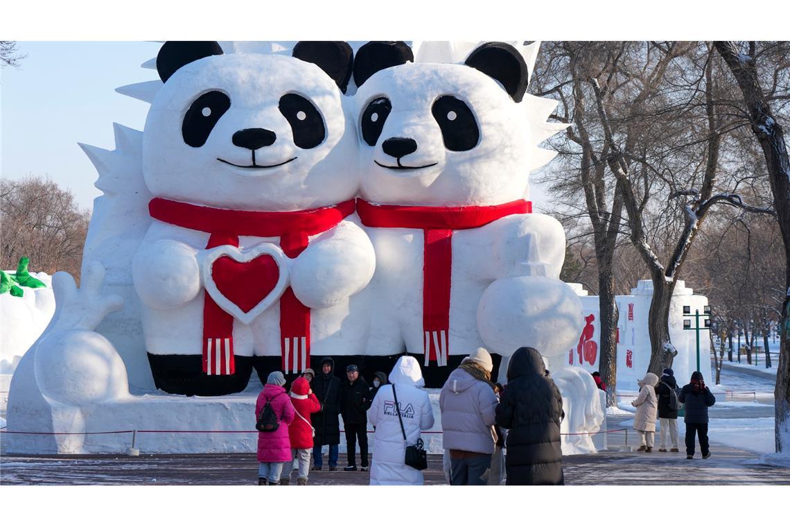 Menschen betrachten in China eine Schneeskulptur.