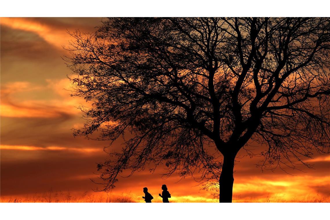 Bilder des Tages Menschen laufen bei Sonnenuntergang in einem Park in Kansas in den USA.