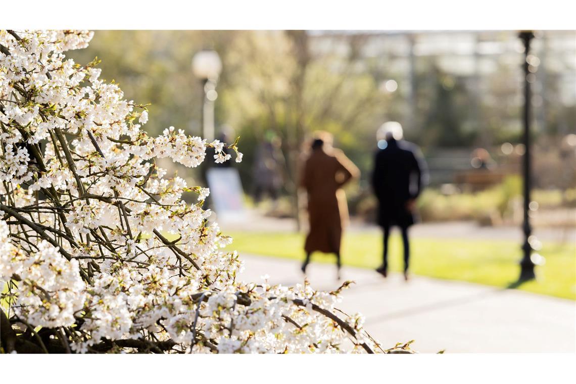 Menschen spazieren im botanischen Garten in Köln.