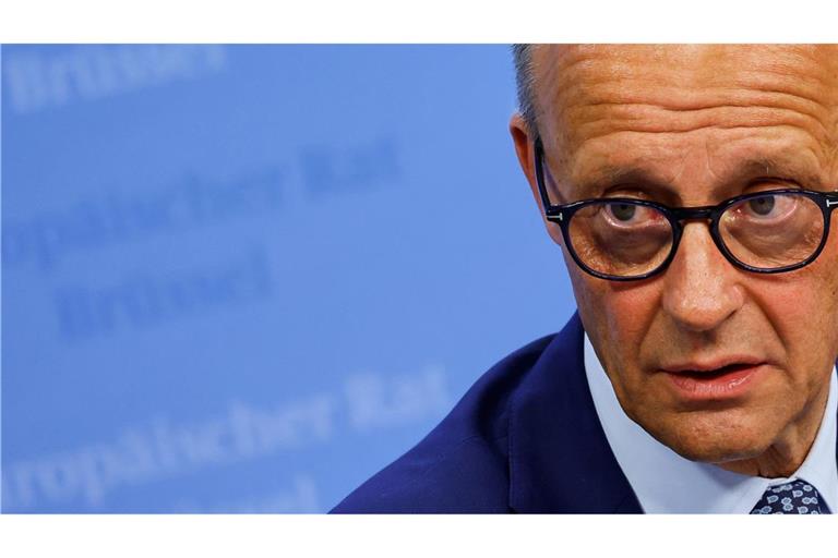 Merz spricht sogar von einer "neuen Art von Handelsorganisation", die schrittweise ersetzen könnte, "was wir mit der WTO heute nicht mehr haben".