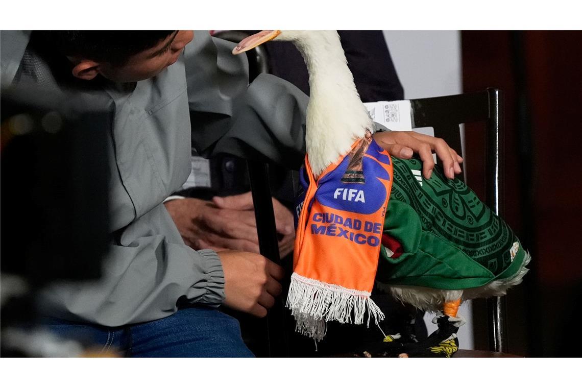 Mexiko-Stadt: Mexikos WM-Ente „Merlin“ watschelt im Nationaltrikot in Sheinbaums Pressekonferenz