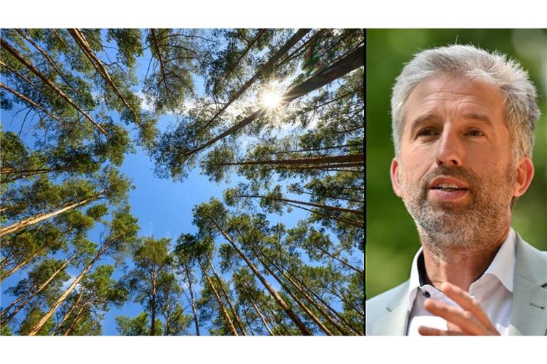 „Mich wundert, wie egal vielen Leuten der deutsche Wald heute ist“; sagt der Tübinger Oberbürgermeister Boris Palmer.