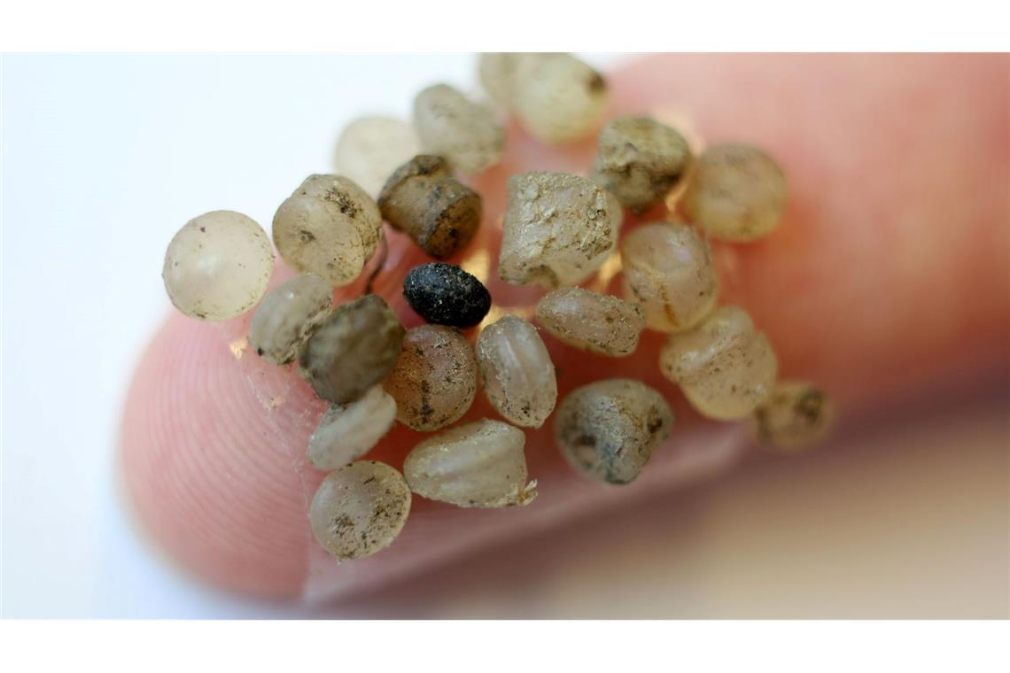 Wie sich die Aufnahme von Mikroplastik vermindern lässt Mikroplastik ist zwischen 1 Mikrometer und 5 Millimeter groß. Nanoplastikpartikel sind kleiner. (Symbolbild)