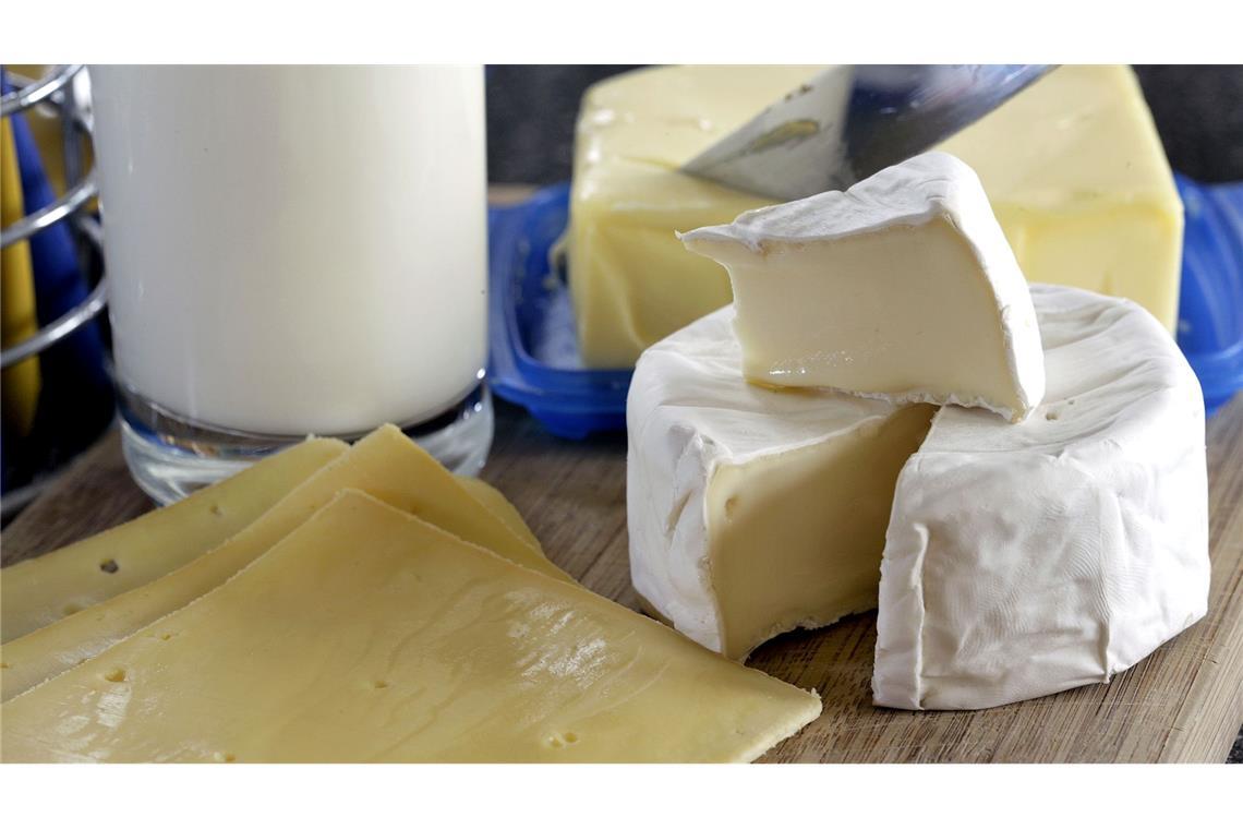 Käse wird immer beliebter - Milchverbrauch sinkt weiter