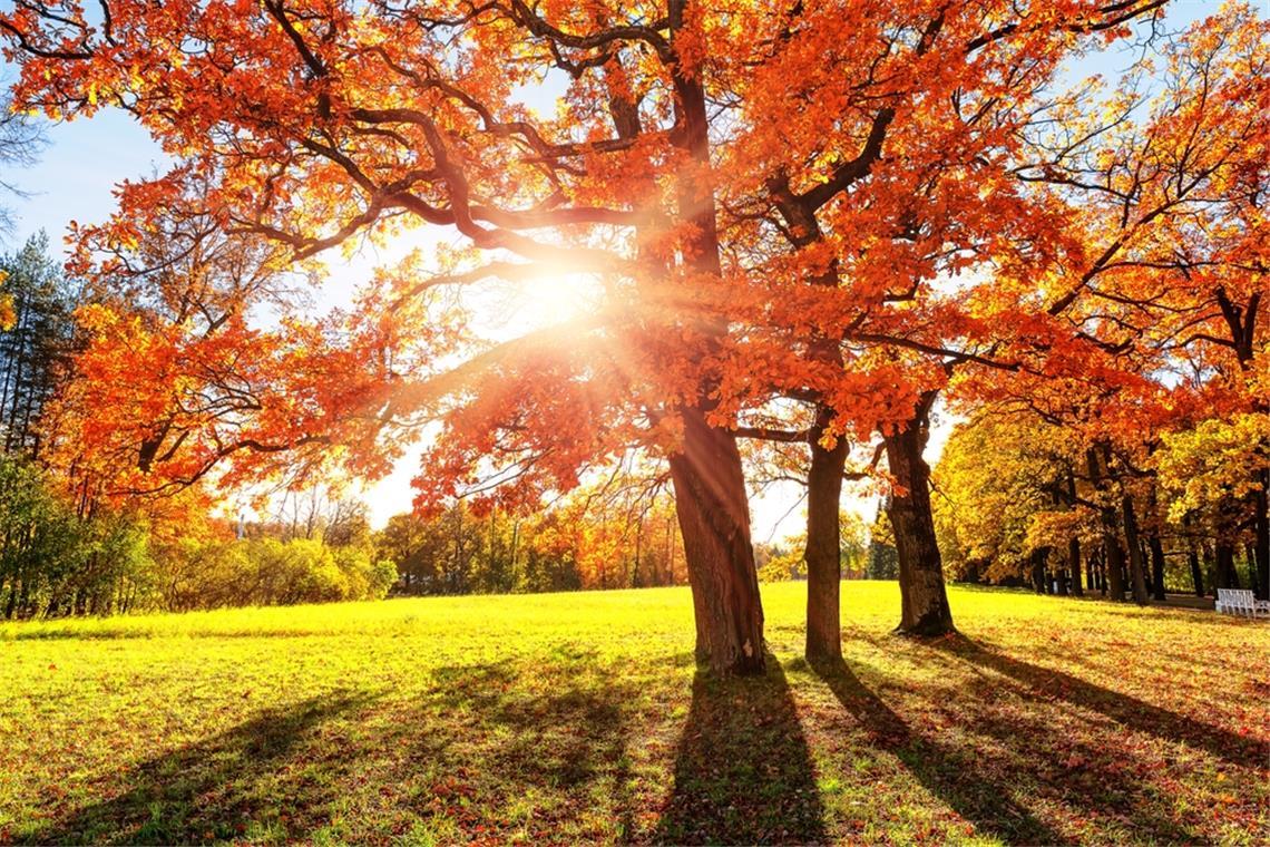 Wie lange bleibt es so warm? Milde Temperaturen im Herbst.