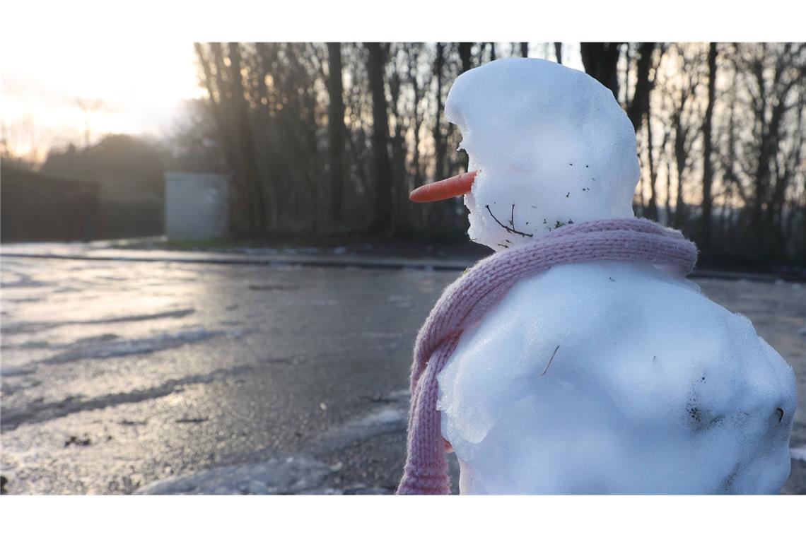 Milder Südwestwind bringt laut DWD steigende Temperaturen. (Archivbild)