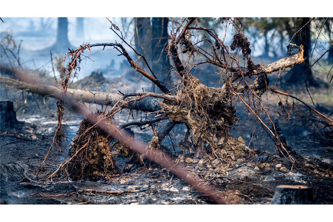 Mindestens 250 Hektar Wald sind in Thüringen von dem Brand betroffen.
