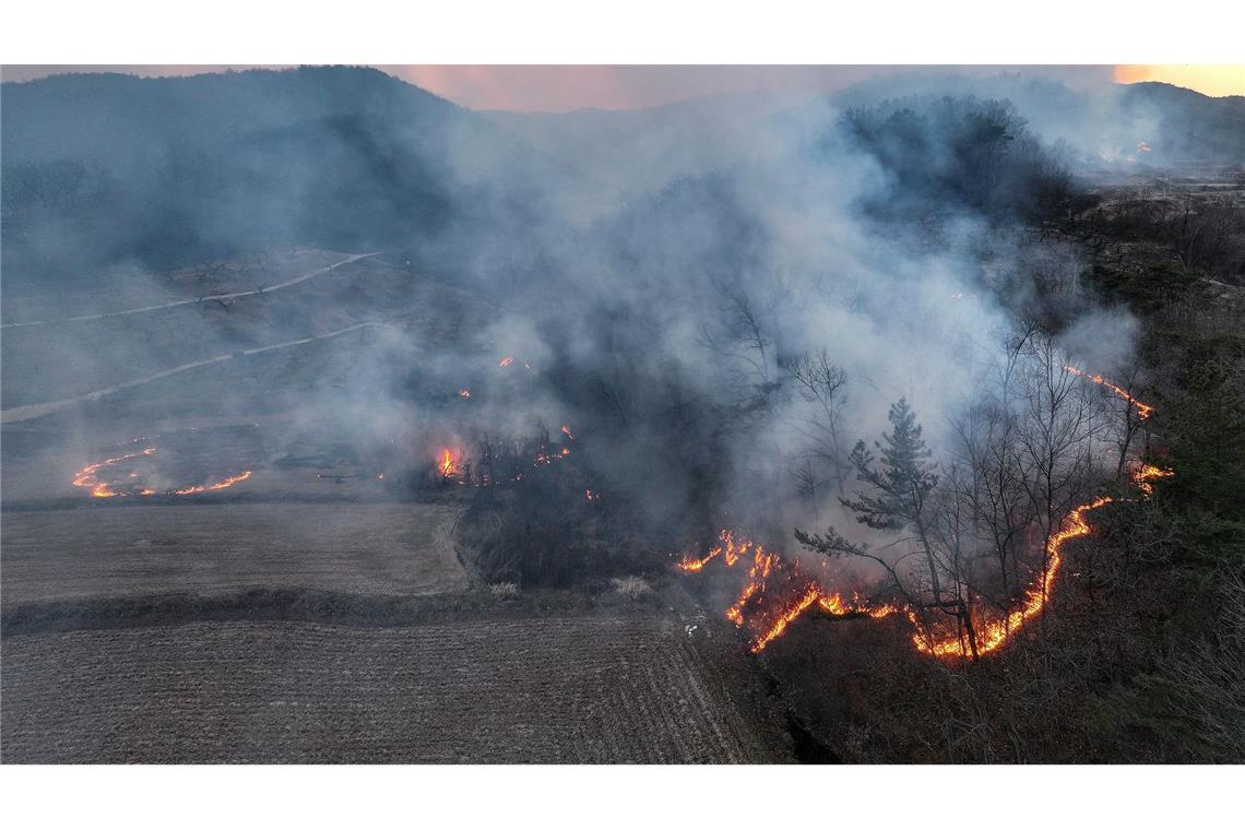 Vier Tote und sechs Verletzte bei Waldbränden in Südkorea Mindestens vier Menschen sind beim Einsatz gegen Waldbrände in Südkorea ums Leben gekommen.