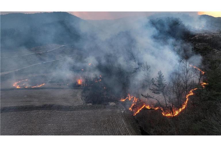Mindestens vier Menschen sind beim Einsatz gegen Waldbrände in Südkorea ums Leben gekommen.