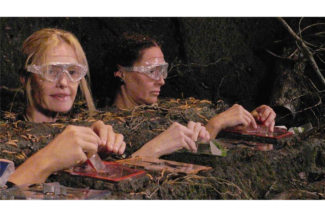 Mirja du Mont scheiterte am Puzzle, Simone Ballack nicht.