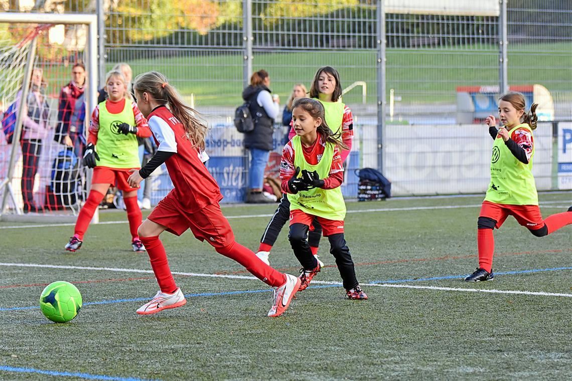 Ein Tag im Zeichen des Mädchenfußballs bei der TSG Backnang Mit dem Heimvorteil im Rücken wollen die E-Juniorinnen der TSG Backnang dem TV Oeffingen den Ball abjagen. Foto: Tobias Sellmaier