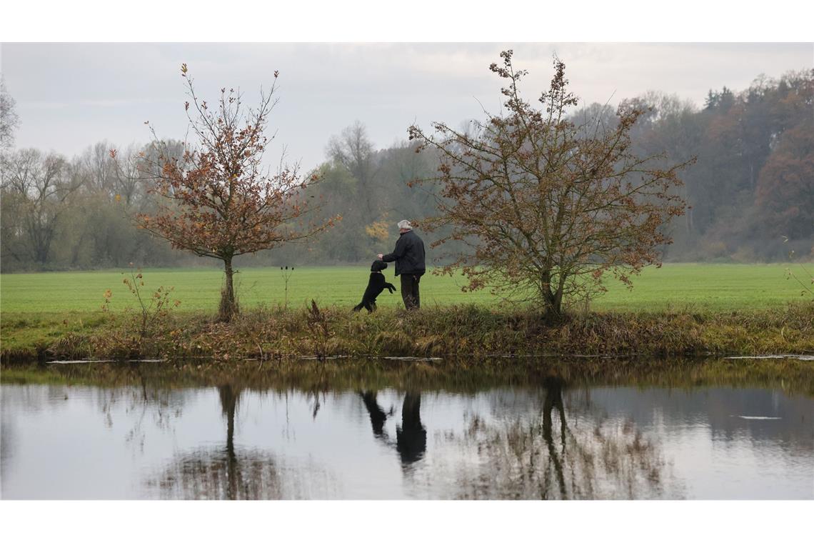 Mit dem Hund an der Donau spielen.