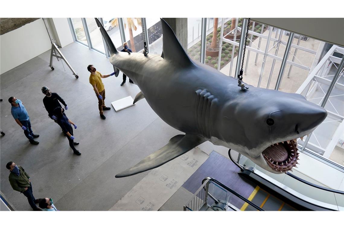 Mit dem mechanischen Hai "Bruce", hier restauriert im Academy Museum of Motion Pictures in Los Angeles, gab es bei den Dreharbeiten zu "Der weiße Hai" mannigfaltige Probleme. (Archivbild)