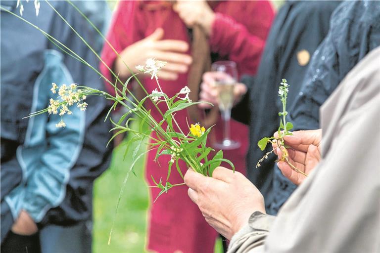Mit dem Projekt „blühender Naturpark“ soll ein Beitrag zur Biodiversität geleistet werden. Das Naturparkteam bietet unter anderem Seminare dazu an. Archivfoto: S. Bossow