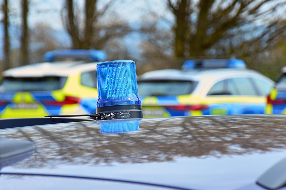 Mit Drohnen und Polizeihunden wird nach dem Säugling gesucht. Symbolfoto: Tobias Sellmaier 