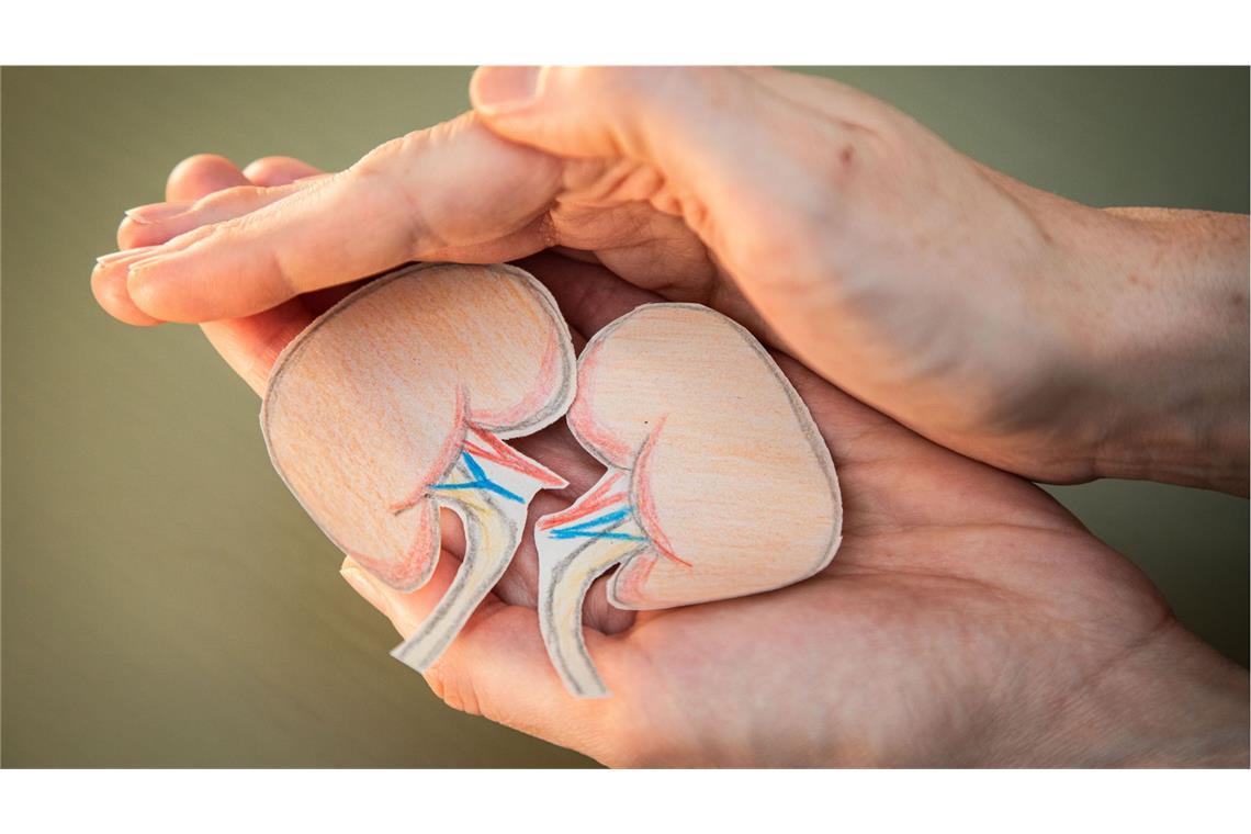 Mit einem gesunden Lebensstil können wir unsere Nieren schützen.