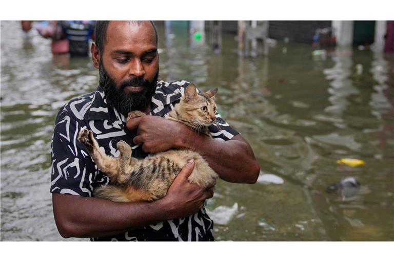 Mit Katze durch die überfluteten Straßen