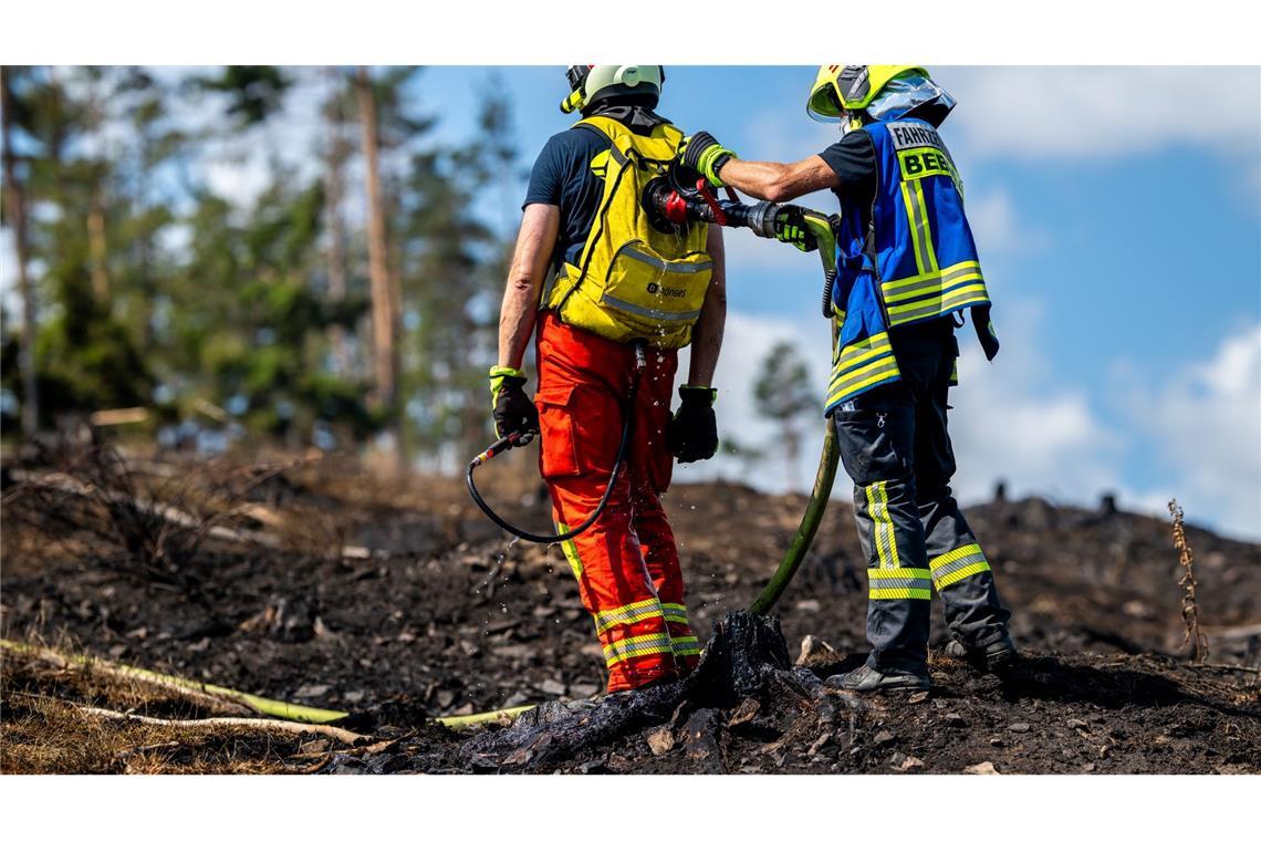 Waldbrände in Sachsen und Thüringen - Großeinsätze dauern an Mit Löschrucksäcken gehen die Feuerwehrleute etwa gegen Glutnester vor.