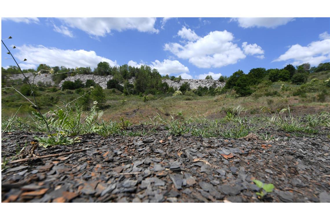 Mehr als 1400 Lebewesen in Grube Messel dokumentiert Mit Ölschiefer übersät ist der Grund der Grube Messel bei Darmstadt. Das Areal wurde 1995 erstes Weltnaturerbe in Deutschland auf der Liste der Weltkulturorganisation Unesco. In dem meterdicken, feingeschichteten Ölschiefer erzählen Fossilien, wie die Welt vor 47 Millionen Jahren aussah.