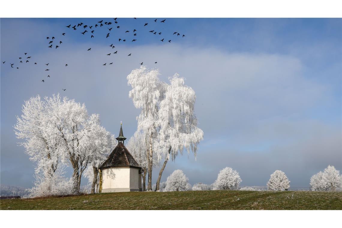 Bilder des Tages Mit Raureif überzogene Bäume neben einer Kapelle auf der Schwäbischen Alb.