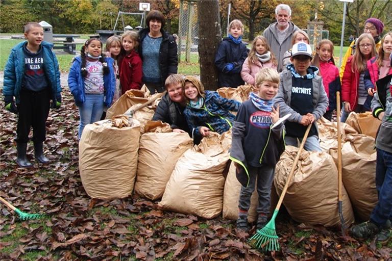 Mit Spaß bei der Arbeit: Die Schutzgemeinschaft Deutscher Wald hatte zur 14. Sammelaktion für Kastanienlaub eingeladen und rund 200 Helfer ließen sich nicht lange bitten. Foto: SDW