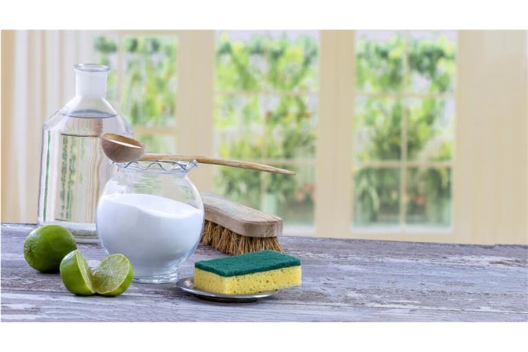 Mit wenigen ökologischen Mitteln lassen sich die meisten Verschmutzungen entfernen. Diese nachhaltigen Putzmittel ersetzen Ihre chemischen Reiniger.