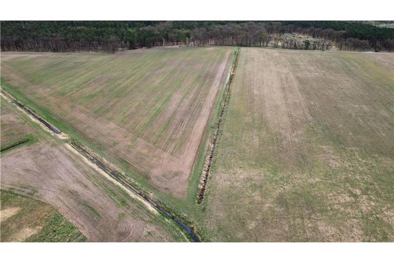 Mitte April und vertrocknetes Gras - Blick auf eine Wiese im Landkreis Oberhavel in Brandenburg (Aufnahme mit einer Drohne). (Archivbild)