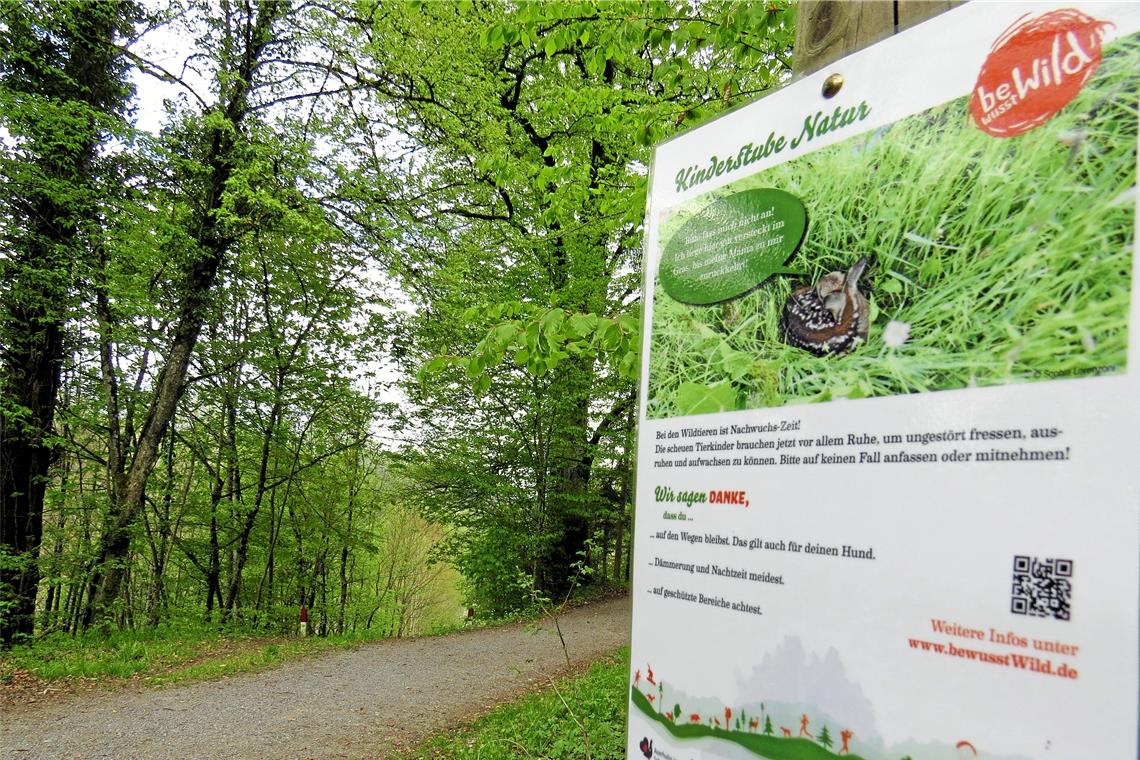 Für ein Miteinander von Mensch und Natur Mittlerweile haben sich viele Institutionen, Vereinigungen und Gruppen wie auch der Naturpark Schwäbisch-Fränkischer Wald der Initiative „bewusst Wild“ angeschlossen und unterstützen in einem breiten Bündnis die Arbeit. Im vergangenen Jahr hat der Murrhardter Jäger Alexander Wiedemann auf die Initiative aufmerksam gemacht – inklusive Schild im Trauzenbachtal (wir berichteten). Foto: Christine Schick