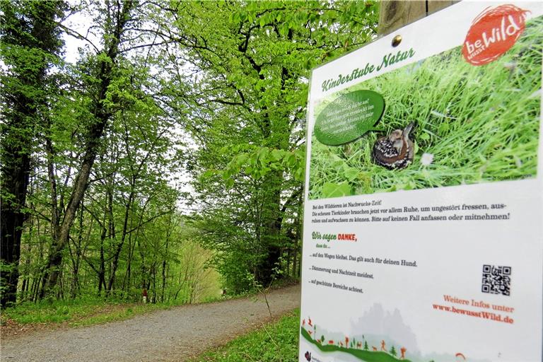 Mittlerweile haben sich viele Institutionen, Vereinigungen und Gruppen wie auch der Naturpark Schwäbisch-Fränkischer Wald der Initiative „bewusst Wild“ angeschlossen und unterstützen in einem breiten Bündnis die Arbeit. Im vergangenen Jahr hat der Murrhardter Jäger Alexander Wiedemann auf die Initiative aufmerksam gemacht – inklusive Schild im Trauzenbachtal (wir berichteten). Foto: Christine Schick