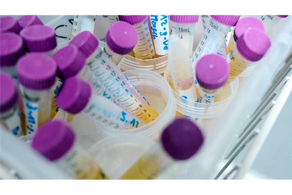 MnHexP ist ein Abbauprodukt des Weichmachers Di-n-hexylphthalat (DnHexP), der als fortpflanzungsschädigend gilt. (Symbolbild)