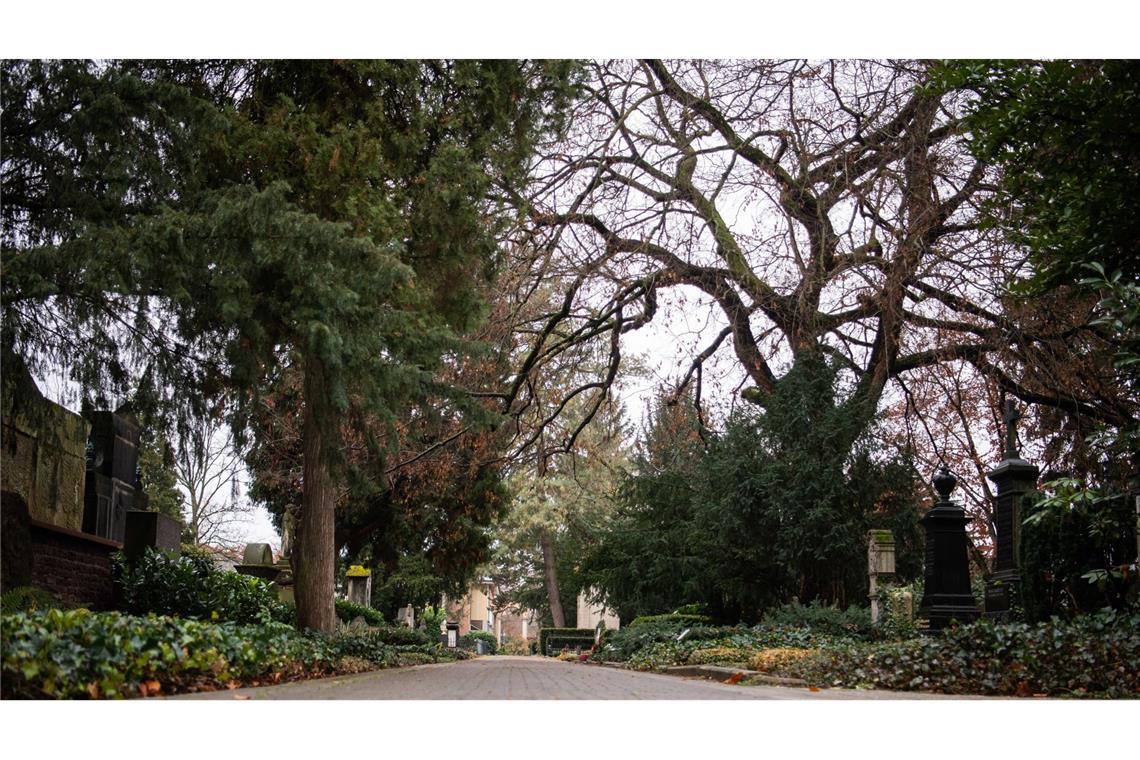 Zahlreiche Gräber auf dem Friedhof beschädigt Nach Angaben der Stadt Mannheim gab es in der vergangenen Woche größere Vandalismusschäden an etwa 40 Grabstätten. (Symbolbild)