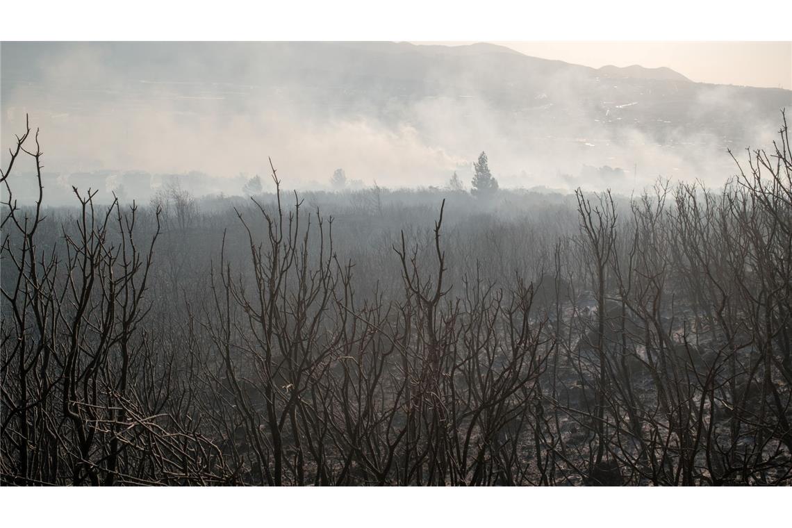 Einsatzkräfte bekämpfen Großbrände in Izmir und Hatay Nach Angaben des Landwirtschaftsministers seien vier Flugzeuge und 14 Hubschrauber zur Brandbekämpfung im Einsatz.