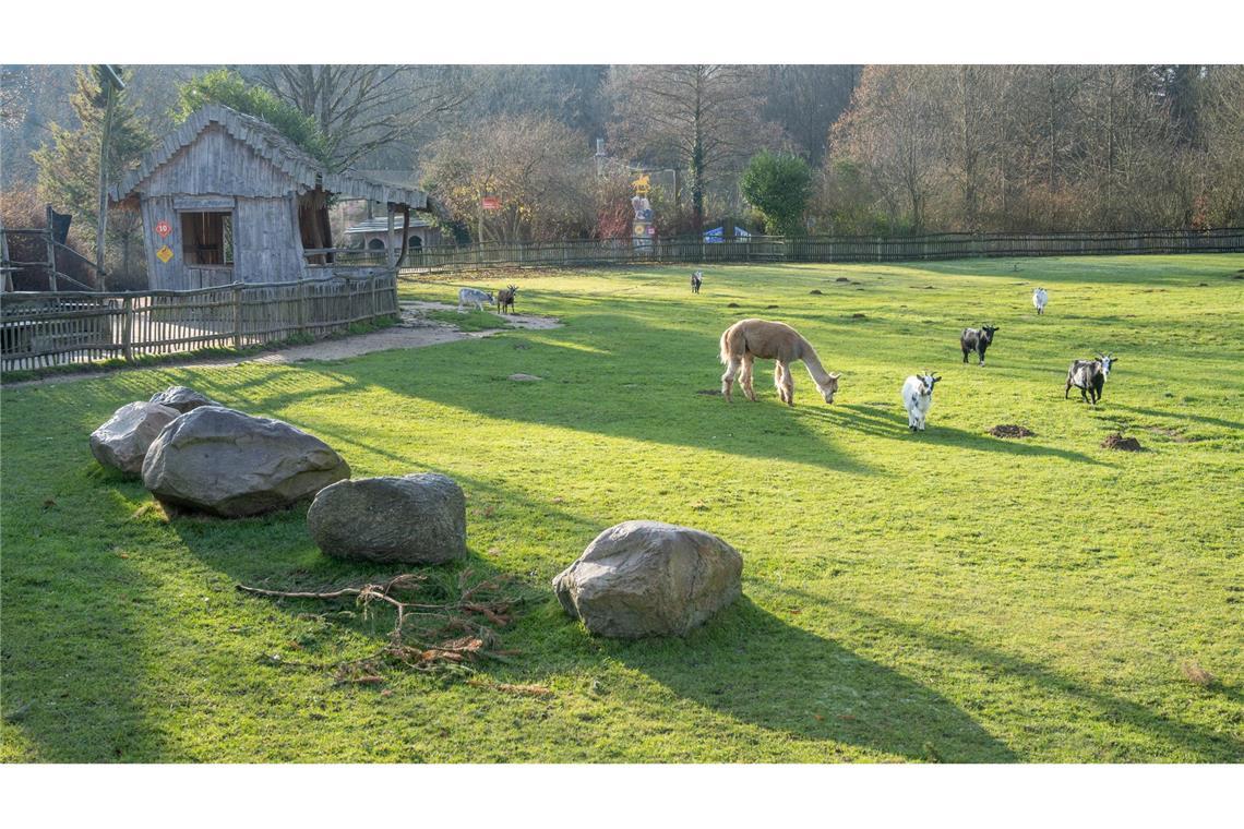 Nach Auffassung des Landgerichts Stralsund hat der Vogelpark Marlow seine Pflichten erfüllt. (Archivbild)