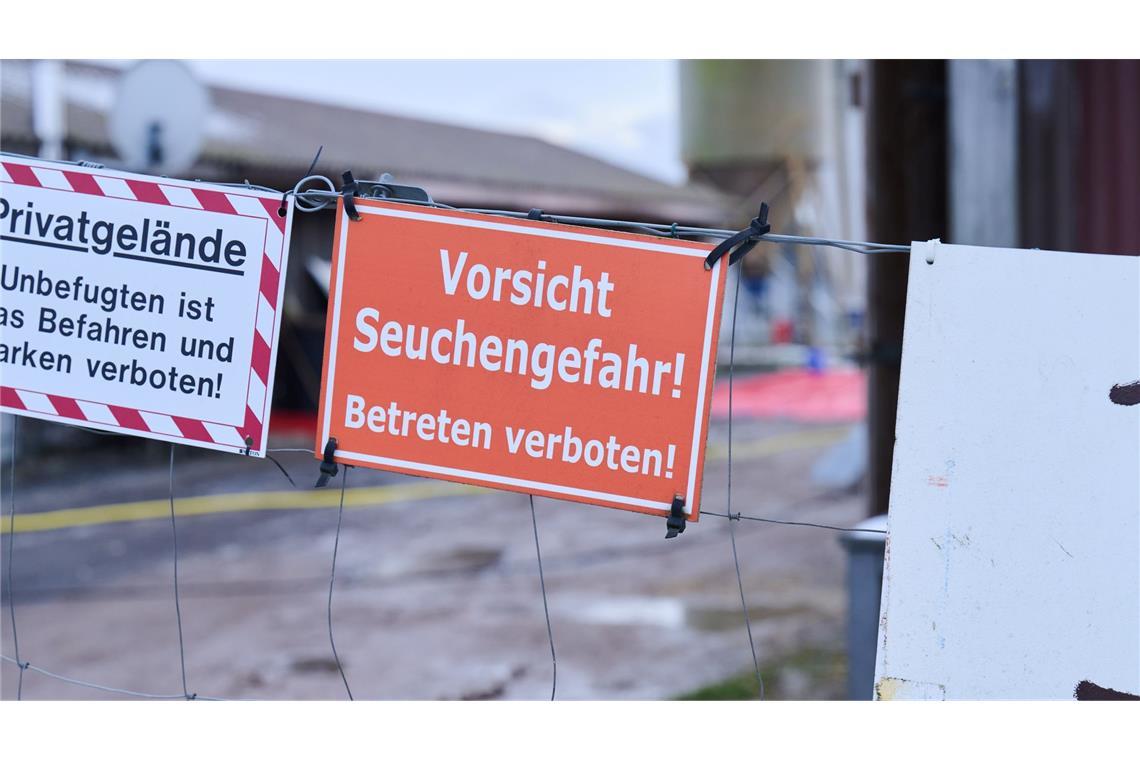 Deutschland frei von Maul- und Klauenseuche – weiter Risiken Nach dem Ausbruch der Maul- und Klauenseuche im brandenburgischen Hönow ist die Sperrzone mit Restriktionen für Landwirte aufgehoben (Archivbild).