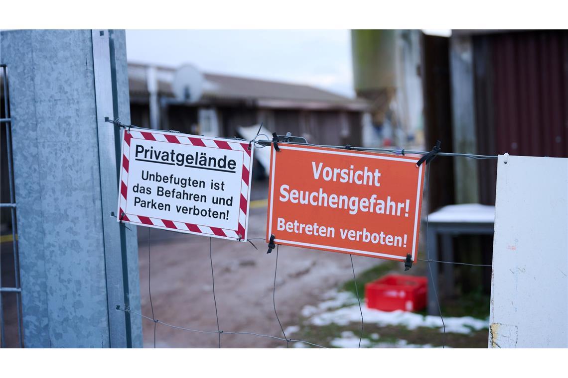Keine weiteren Seuchenfälle - London verhängt Importverbot Nach dem Ausbruch der Maul- und Klauenseuche in Brandenburg hat die Landesregierung das bestehende Verbot von Tiertransporten um 48 Stunden verlängert (Archivbild).
