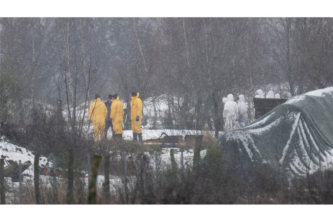 Tiertransporte in Brandenburg zeitweise verboten Nach dem Ausbruch der Maul- und Klauenseuche wurde zunächst eine Wasserbüffel- Herde getötet. Fachleute waren im brandenburgischen Landkreis Märkisch-Oderland im Einsatz.