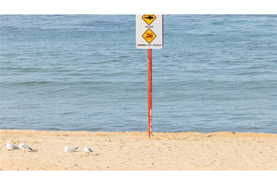 Nach dem Hai-Angriff wurde der betroffene Strand aus Sicherheitsgründen geschlossen.