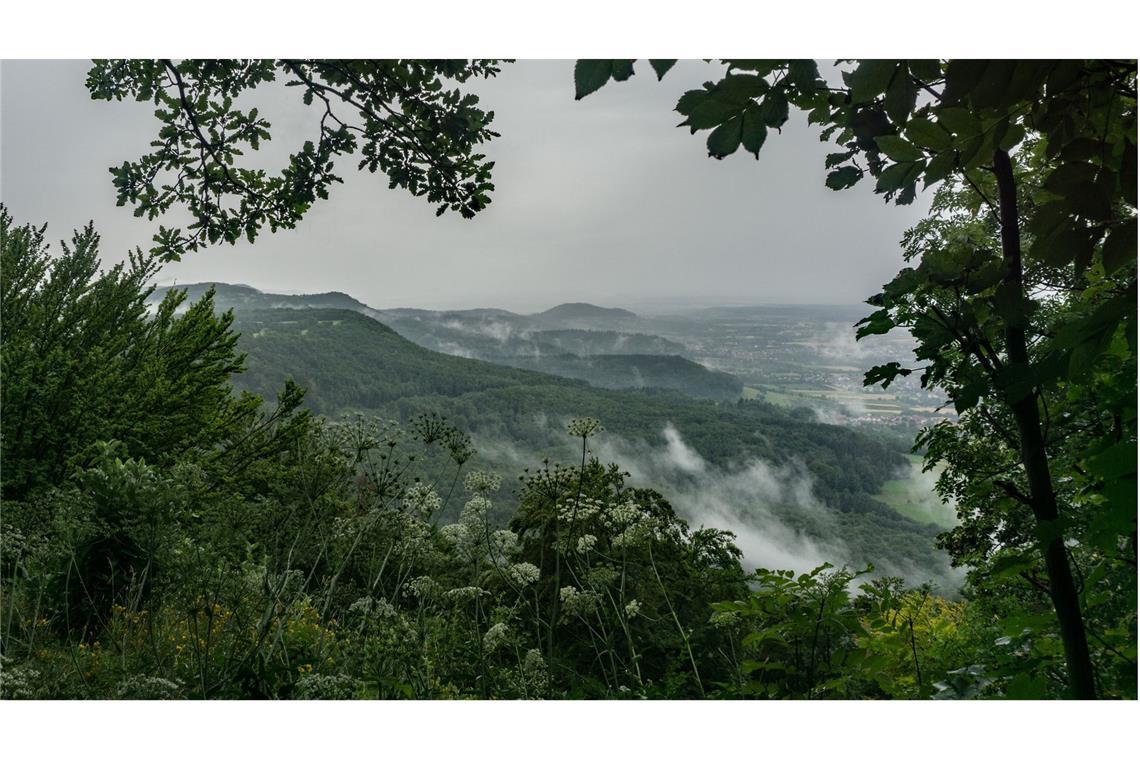 6 x 60 Kilometer Laufen – mit einem guten Essen kein Problem Nach dem Regen: Blick auf den Albtrauf vom Rottelstein nahe des Fuchsecks.