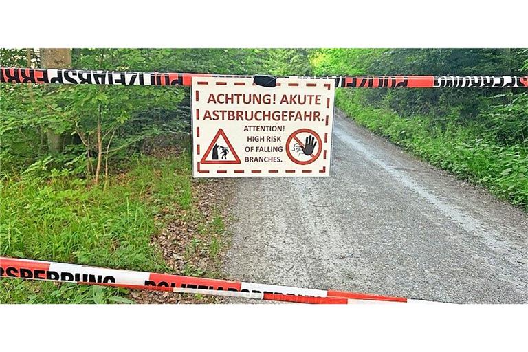 Nach dem tödlichen Unglück ist der Fuß- und Radweg, der am Schnitzhaus vorbei Richtung Bernhardsbach führt, gesperrt.