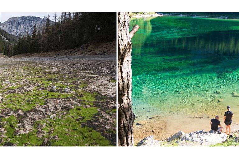 Nach der Austrockung und im Frühjahr 2024: Grüner See in der Steiermark.