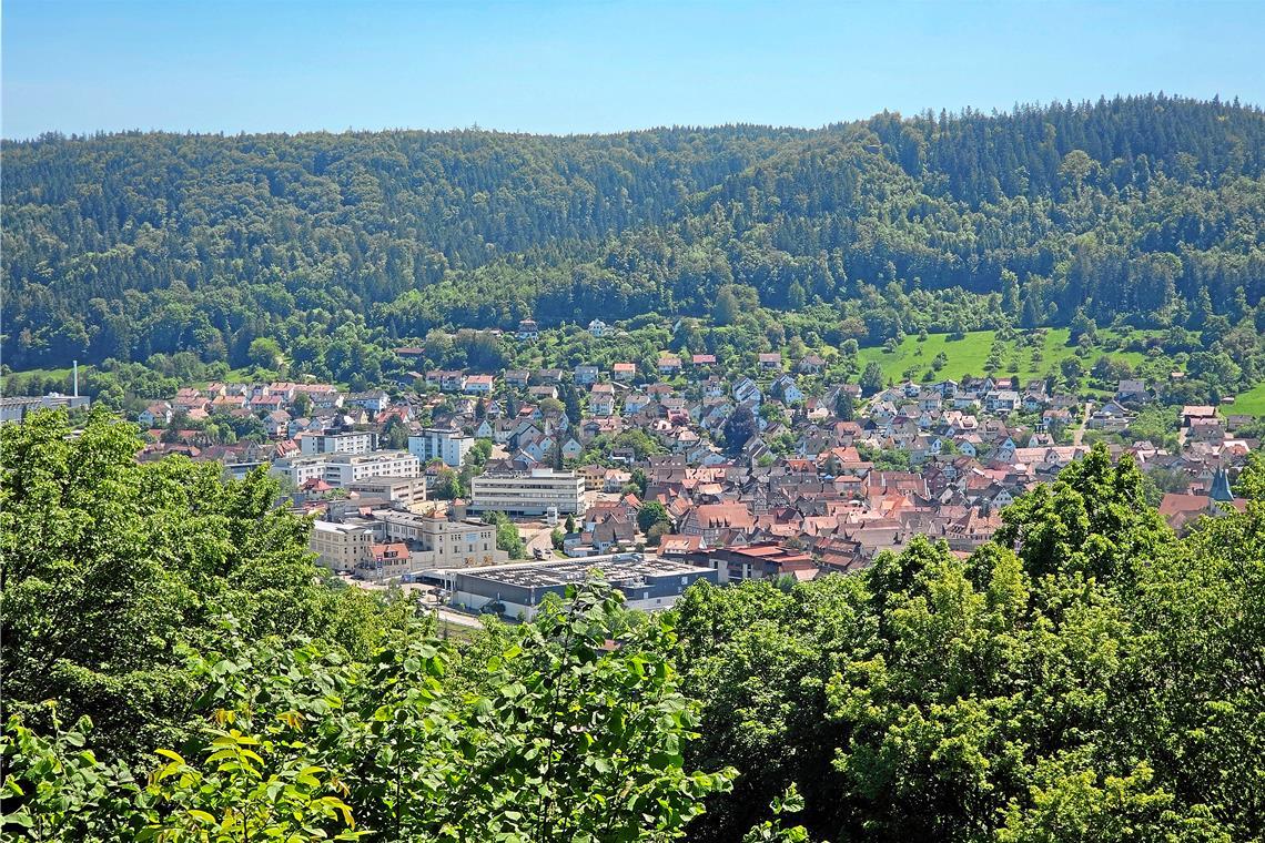 Nach der Einschätzung von Andreas Winkle könnten drei Windkraftanlagen den Energiebedarf Murrhardts decken. Foto: Stefan Bossow