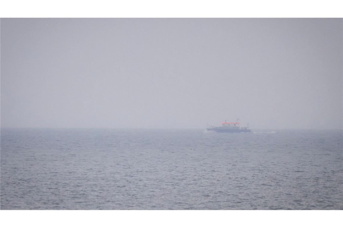 Experten prüfen mögliche Buckelwal-Sichtung bei Wismar