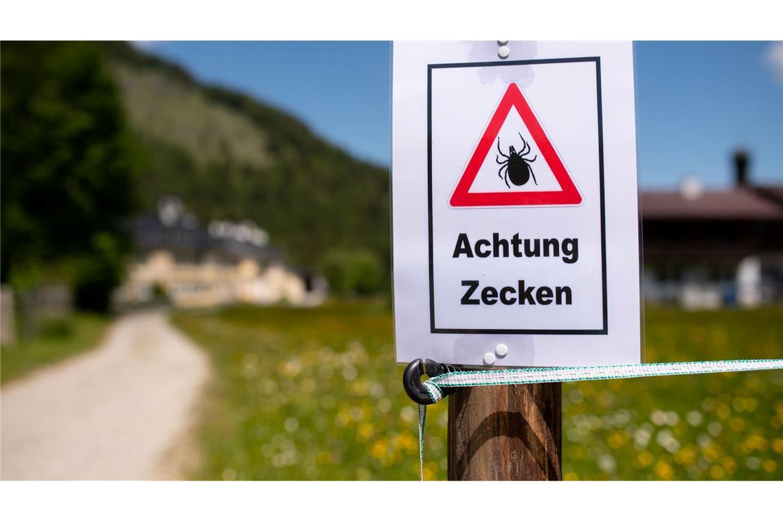 Nach einem Aufenthalt in der Natur sollte man sich unbedingt intensiv absuchen, denn diese stechen nicht sofort. Möglicherweise lässt sich so eine Infektion noch rechtzeitig verhindern. (Archivbild)