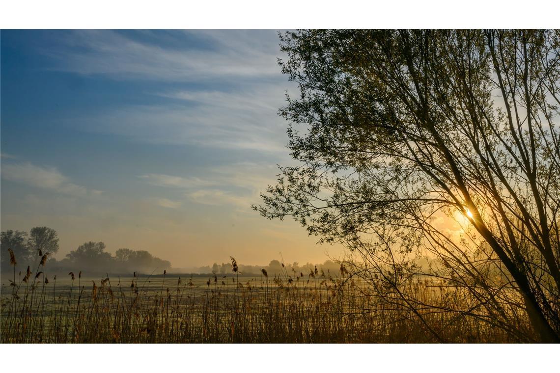 Starke Gewitter drohen am Ostersonntag Nach einem sonnigen Start in den Ostersonntag droht es in Teilen Deutschlands, ungemütlich zu werden.