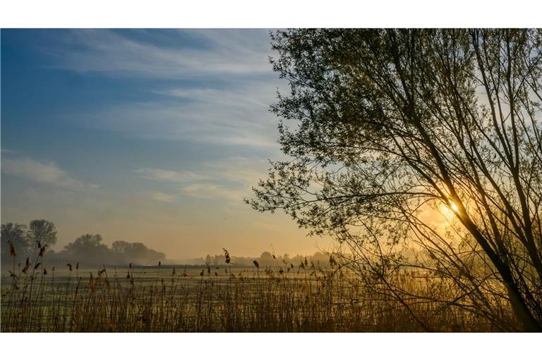 Nach einem sonnigen Start in den Ostersonntag droht es in Teilen Deutschlands, ungemütlich zu werden.